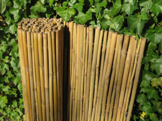 Bamboe rolscherm Dalian (diverse maten)