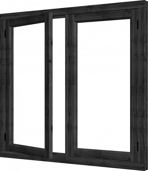 Douglas Steel Look vleugelraam dubbel 674x1296mm zwart - module 01