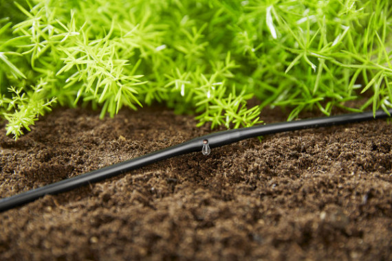 Bovengrondse Druppelbuis 4,6mm (3/16) - 15m