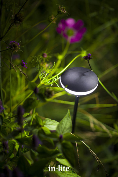 Sway light head black