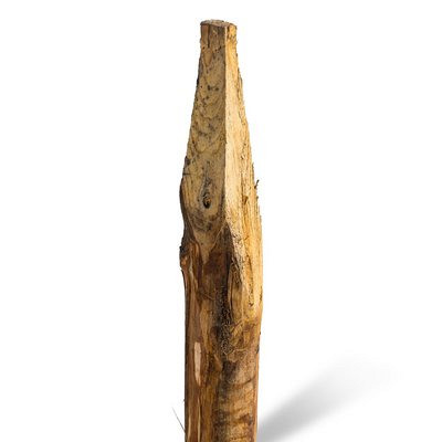 Kastanje palen 200 cm Ø6/8 - geschild en gepunt