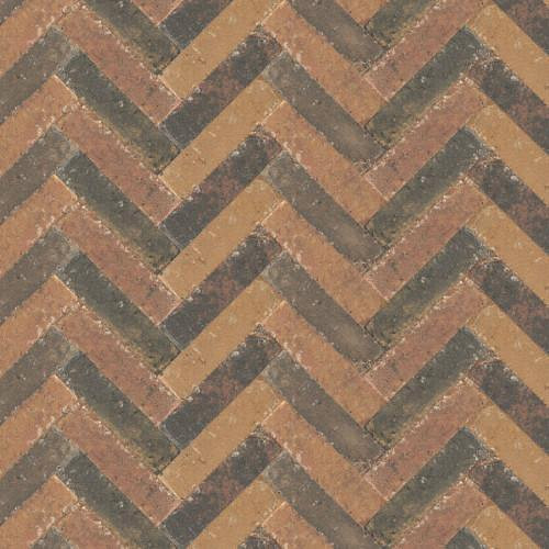 Abbeystones 20x5x7 cm Zomerbont met deklaag