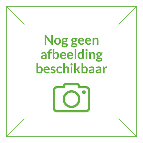 Grondnagels per stuk