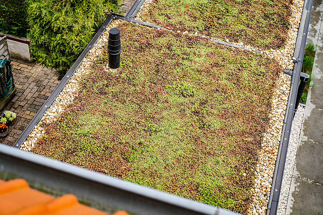 De groendakoplossing met sedum