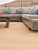 C-Line Forest (diverse kleuren) 
