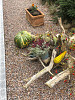 Granietsplit Rood 16-22mm 25kg