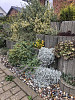 Cirkelflor Groot Zwart 48x38x30cm