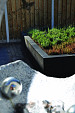 Linia Palissade 15x15x120cm antraciet