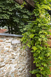 FIXWALL GIALLO 5 LAAGS 15X60X1.5-2.5CM