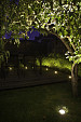 Lamp DB-LED Warm White