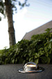 Grondspot Fish eye 100 (ww)
