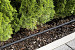 Duizenddruppelslang 7.5m