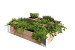 Douglas minigarden vierkante meter 100 x 100 x 20 cm, onbehandeld.