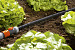 Duizenddruppelslang 15m
