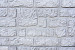 Betonplaat Romeins rotsmotief 4,8 x 36 x 184 cm, grijs ongecoat