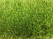 Kunstgras Portengen 4 mtr breed