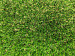 Kunstgras Portengen 4 mtr breed