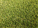 Kunstgras Driebruggen 4 mtr breed