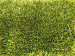 Kunstgras Linschoten