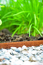 COL-MET corten staal 2mm (diverse maten)