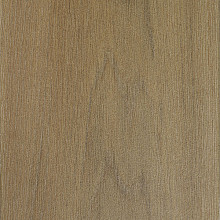 Forest 80x40x4 Betula brown