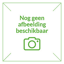 Grondnagels per stuk