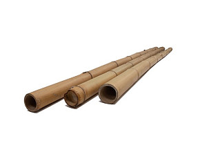 Bamboe paal 270 x 7-8 cm