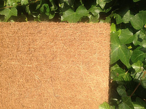 Kokosmat (diverse maten)