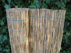 Rietmat Puszta (diverse maten)