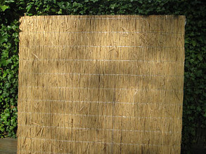 Rietplaat Nagy (diverse maten)