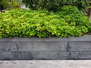 Allure Block Linea Black (diverse kleuren)