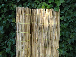 Rietmat Tisza (diverse maten)