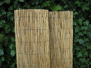 Tonkinmat (diverse maten)